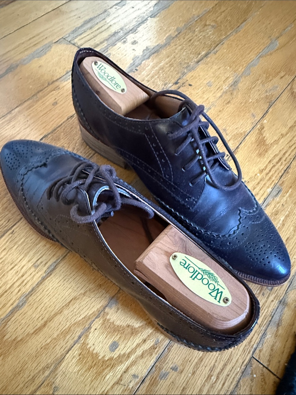 Madewell Dark Brown Leather Brogue Derby Oxfords